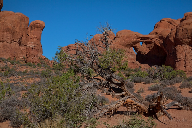 Abschied von der Double Arch